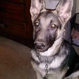 Meet your Posher, Rick